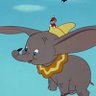 DrDumbo's profile picture