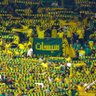 فؤاد علي profil fotoğrafı
