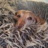 Bodo M.'s profile picture