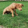 Patrick Jane profil fotoğrafı