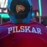 Фото профиля Pilskar