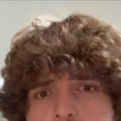 fern ☆'s profile picture