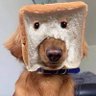 alexandra 🍞's profile picture