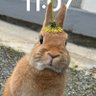 yohan's profile picture