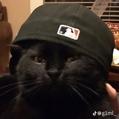 BOPSTERRR1's profile picture
