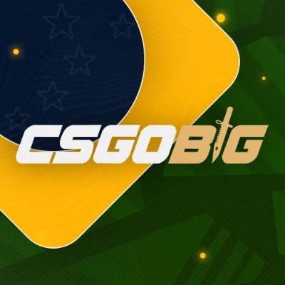 csgobigBR's profile picture