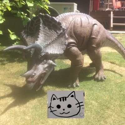 Cutiebuono's profile picture