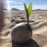 Фото профиля torito_supremo