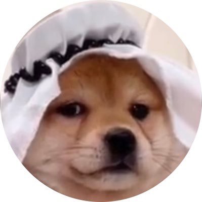 猫山 参吉 二世's profile picture