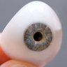 Фото профиля BispingsGlassEye