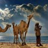 رعد 的头像