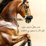 Profilbild von راشد .. أبو محمد