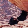 آلاء محمد لبني's profile picture