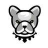 Pitbull Token's profile picture