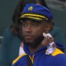Mariners Logan's profile picture
