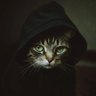 Profilbild von Dr.17