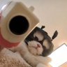 兼's profile picture