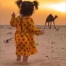 وتينه ☘️'s profile picture