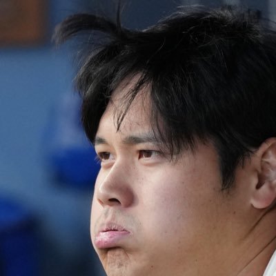 shoheisaveus's profile picture