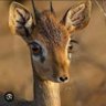 jinan profil fotoğrafı