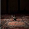 Faisal Nazir profil fotoğrafı