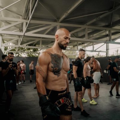 champkickboxer's profile picture
