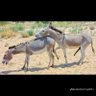 عشق لاينتهي 的头像