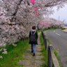 Profilbild von にゃーのすけ