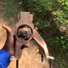 Фото профиля kimulimechanic👨🏽🔧