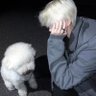 xiao pihai's profile picture