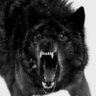 Profilbild von SINLESS wolf