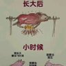 Ztomyx 的头像