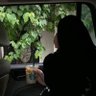 Фото профиля Amna Faraj