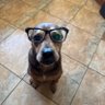 F Scott's profile picture