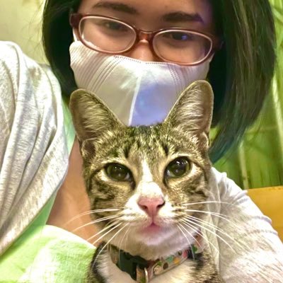 Icha | Metaphor Re Fantazio 🎮's profile picture