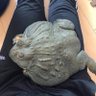babababbabababa profil fotoğrafı