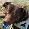 Joni's profile picture