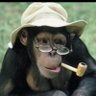 Jedistooge's profile picture