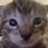 Profilbild von Nye