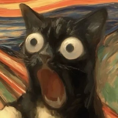 くろねっこぉ🐈's profile picture