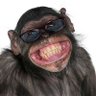 shallipop's profile picture