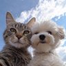 Sarangerel's profile picture