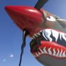Фото профиля Angry Warhawk