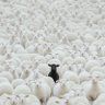 Фото профиля Felix Bruce