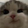 melisa profil fotoğrafı