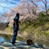 Profilbild von きゃなA