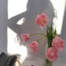 NON💙 profil fotoğrafı
