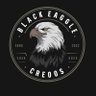 Фото профиля BlackEagle