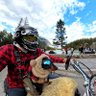 Фото профиля PeeKoosh Rides