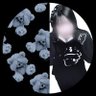 Profilbild von ちー